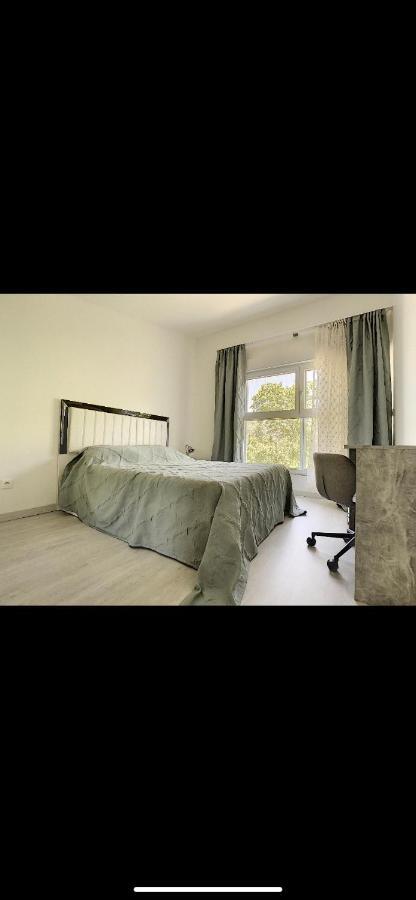 La Villa Petite Camargue 생루이 외부 사진